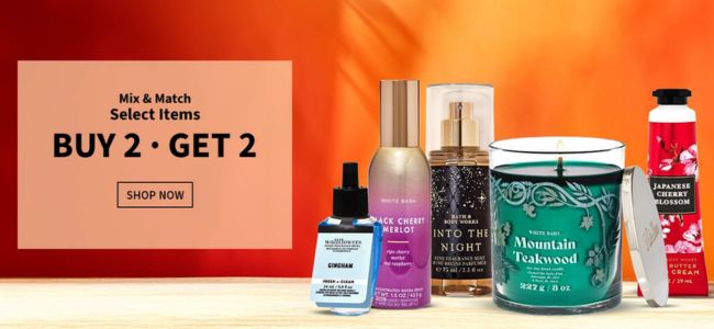 Buy 2 Get 2 FREE