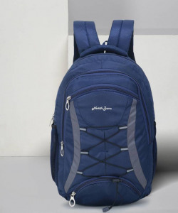 Medium 25 L Laptop Backpack 112(Blue, Grey)