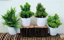 ductor Unique Decoration Artificial Plants Combo Of 4