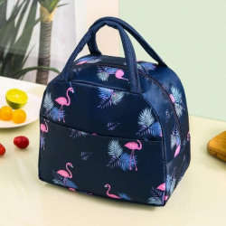 Vcart INSUALTED LUNCH BAG FOR GIRLS AND SCHOOL KIDS 1 Containers Lunch Box(500 ml, Thermoware)