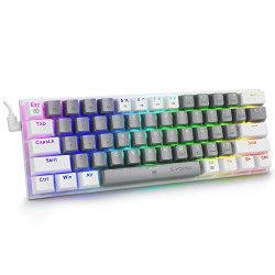 HUO JI E-Yooso 60% Mechanical Keyboard, Red Switches Mechanical Gaming Keyboard Wired With Rgb Backlit, Ultra-Compact 60 Percent Computer Keyboard For Windows, Mac Os (Grey White)