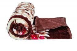 BSB HOME Premium Super Soft Cloudy Printed Mink Double Bed Blanket for All Season, Ultrasoft & Cozy Single Ply Blanket | |220 x 230 Cm (Coffee Brown & Beige & Red, Pack of 1)