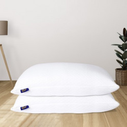 Pillowking Polyester Fibre Stripes Cushion Pack of 2