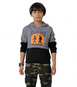 KYDA KIDS Boys Cotton Hooded Neck Hoodies - Sweatshirt with Hoodies Full Sleeves Boys Winter Wear, Long Sleeve Sweatshirts for Boys - Regular Fit (2-CUT-HOOD-2-3Y-Multicolor)
