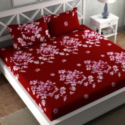 CG Homes 160 TC Cotton Double Printed Flat Bedsheet(Pack of )