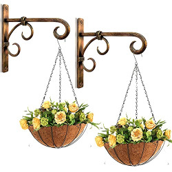 INTENSE ART Wall Hanging Plant Hook for Planters Lanterns Bird Feeders Wind Chimes Hanging Baskets Ornaments String Lights Indoor Outdoor Balcony Set of 2 (Golden), Alloy Steel