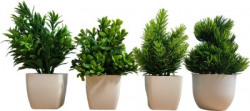 brozzo Bonsai Wild Artificial Plant with Pot(20 cm, Green, White)