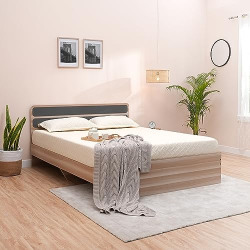Amazon Brand - Solimo Sopor Engineered Wood Queen Bed without storage (Chequered Light finish)
