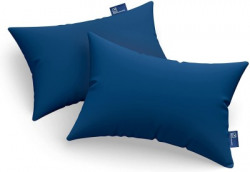 THE WOOD WHITE INDIA 16 x 24 Inches Microfibre Solid Sleeping Pillow Pack of 2