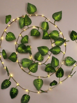 Homesake Set of 2 Green Money Plant USB String Lights