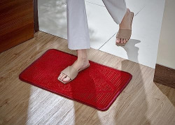 Amazon Brand - Solimo Premium Super Soft Fleece Doormat for Home |Room