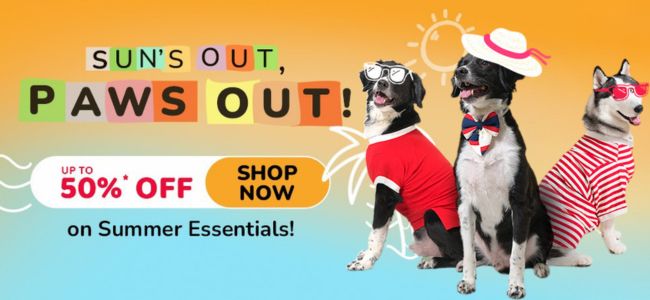 Summer Sale - Upto 50% OFF